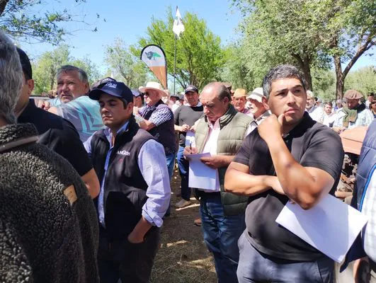 tn_IMG_20241026_112515064