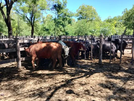 tn_IMG_20241129_140449094_HDR