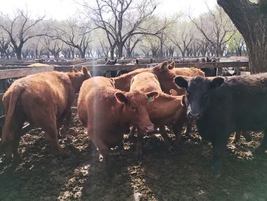 tn_IMG_20240828_112556235