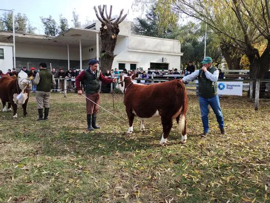 tn_IMG_20240530_141843036