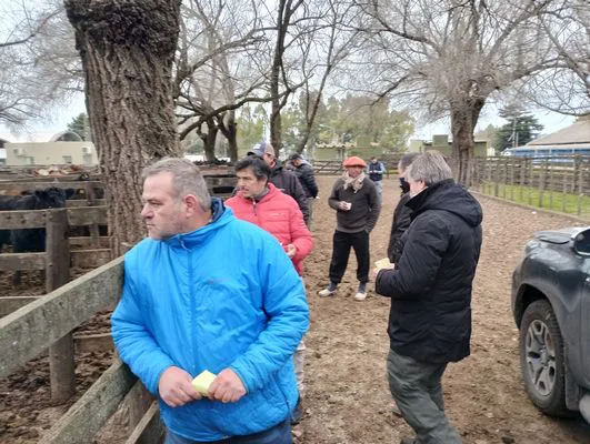 tn_IMG_20240626_113220107_HDR