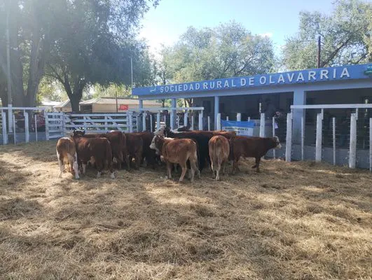 tn_IMG_20250409_153635512