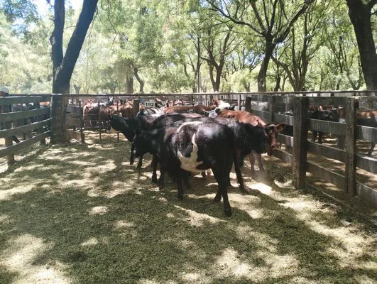 tn_IMG_20250122_124957482_BURST000_COVER