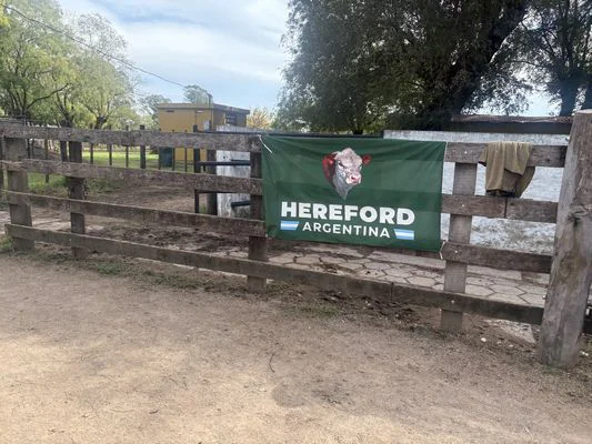 H1