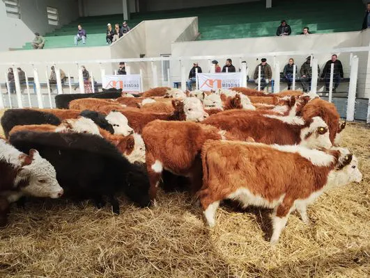 tn_IMG_20240731_122348080