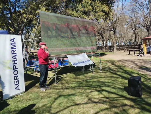 tn_IMG_20240829_143239713