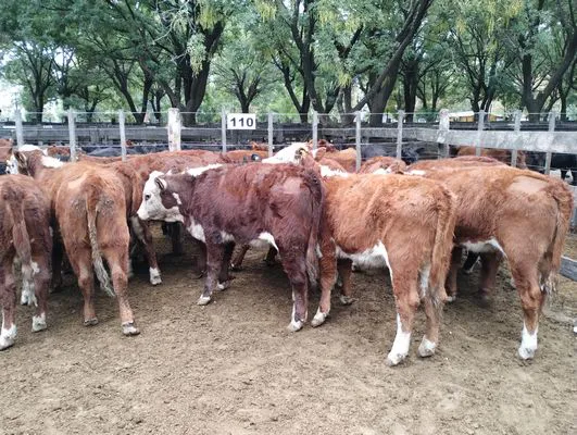 tn_IMG_20240411_155117502