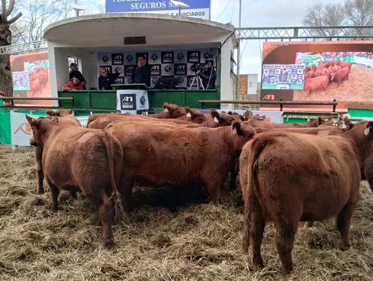 tn_IMG_20240625_162950984_HDR