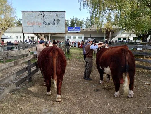 tn_IMG_20240530_141815217_HDR