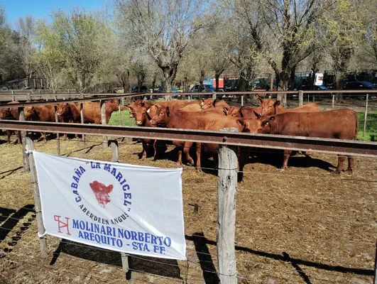 tn_IMG_20240907_120313971