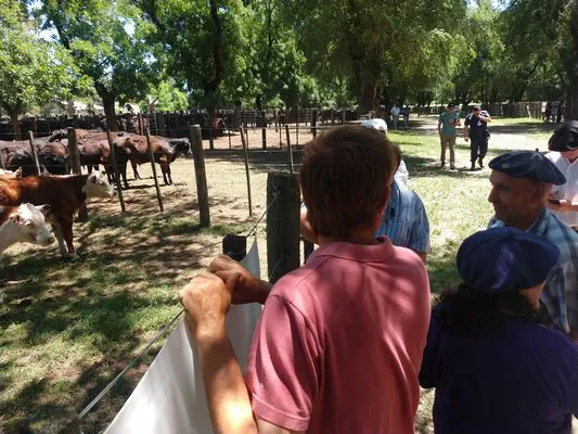 tn_IMG_20231213_125027983