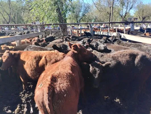 tn_IMG_20250424_141248861_HDR