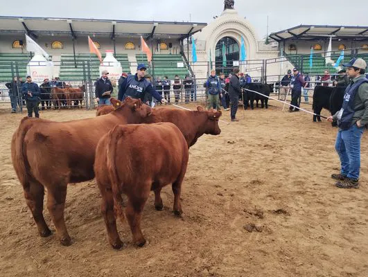 tn_IMG_20240522_100516158