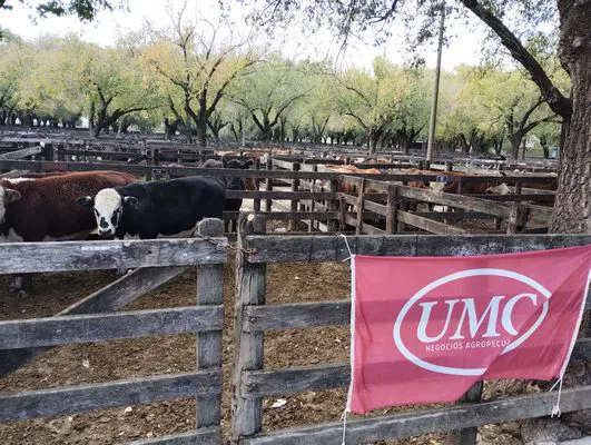 tn_IMG_20240430_143200533