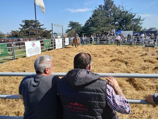 tn_IMG_20240927_150625407_HDR