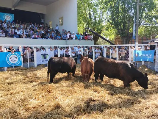 tn_IMG_20241018_150125418