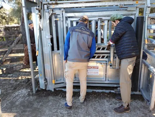 tn_IMG_20240501_161225362