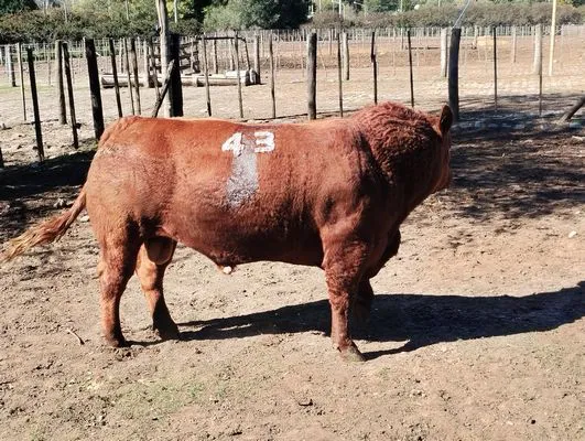 tn_IMG_20240501_122515383_HDR