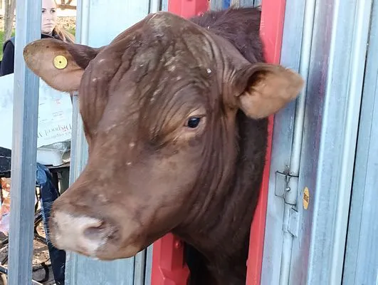 tn_IMG_20240501_160000406