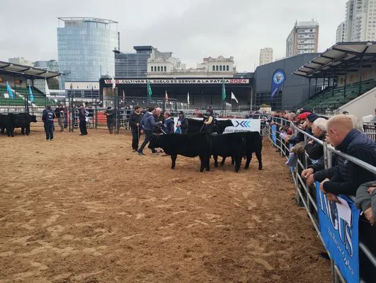 tn_IMG_20240522_095813683