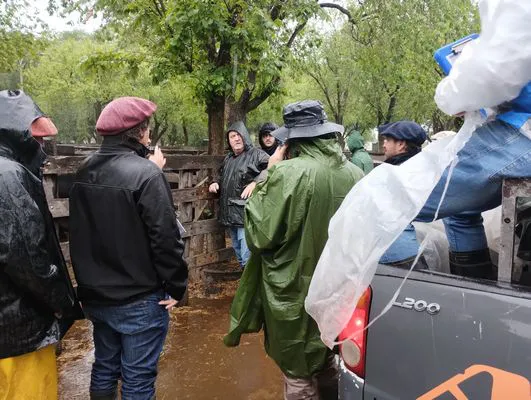 tn_IMG_20241023_113932599