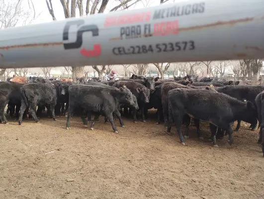 tn_IMG_20240718_155413233