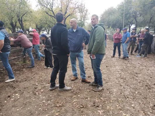 tn_IMG_20250425_155713578