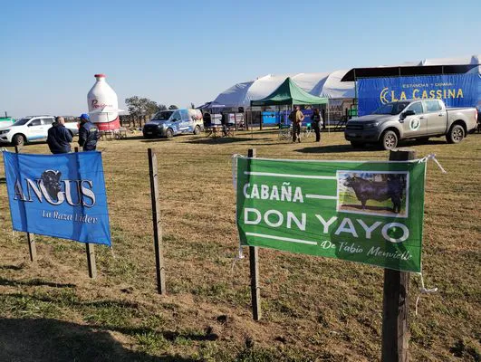 tn_IMG_20240711_113502062