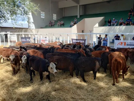 tn_IMG_20240221_133722093_HDR