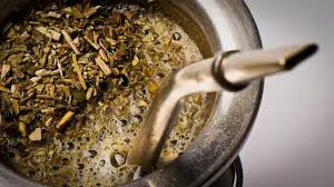 yerba
