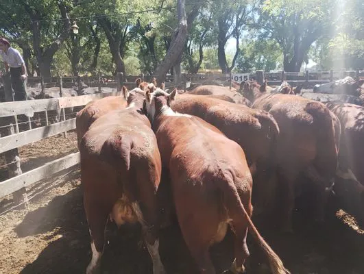 tn_IMG_20250122_104814652