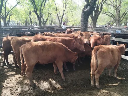 tn_IMG_20241008_154514524