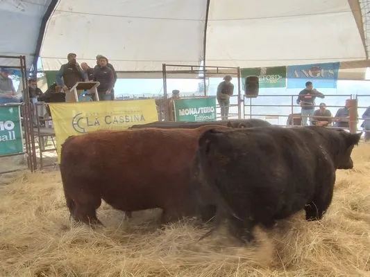 tn_IMG_20240711_151748529_HDR