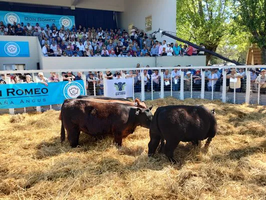 tn_IMG_20241018_144903653_HDR