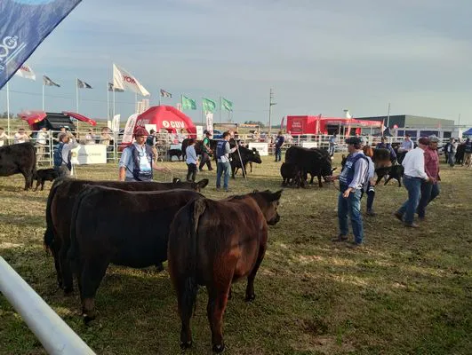 tn_IMG_20240918_174442259_HDR