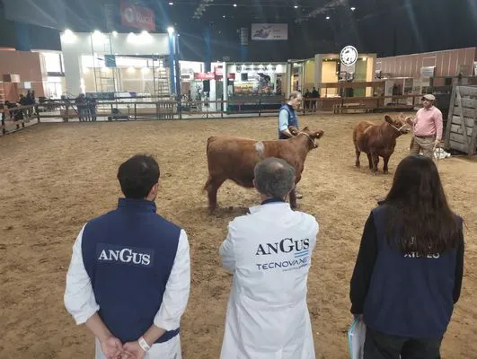 tn_IMG_20250519_112216700