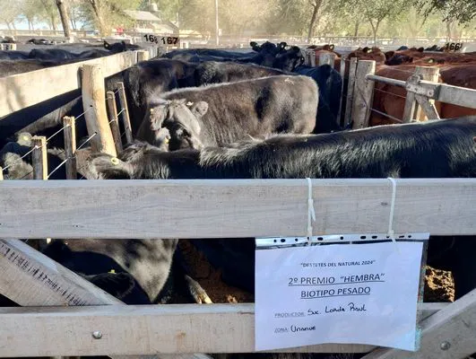 tn_IMG_20240406_161522719_HDR