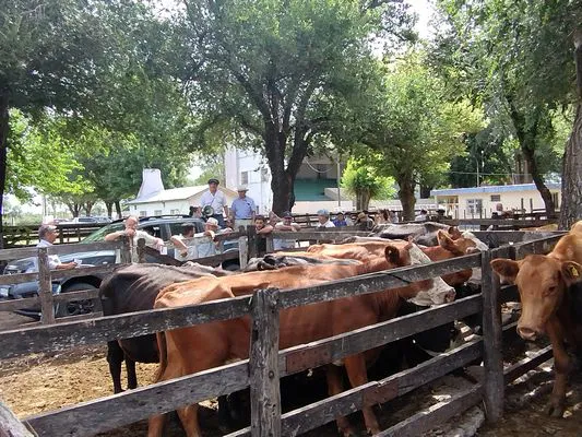 tn_IMG_20250116_154226978