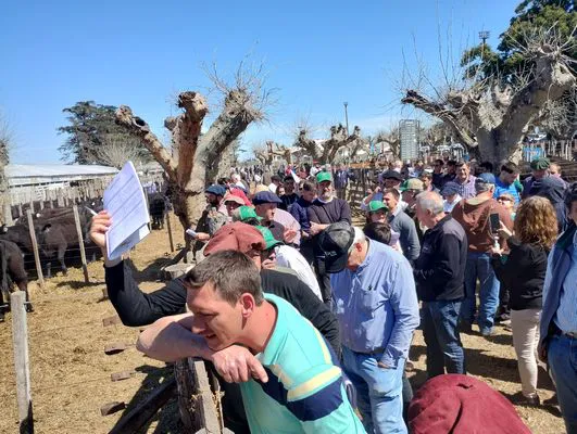 tn_IMG_20240912_133157699_HDR