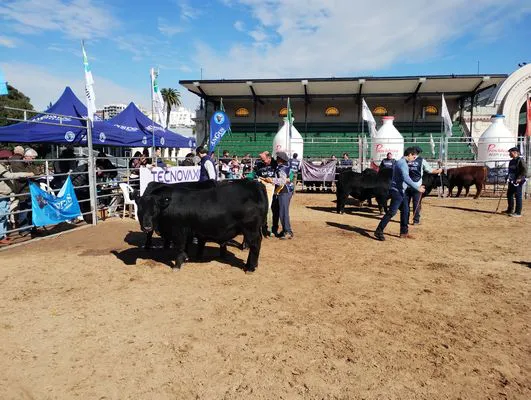 tn_IMG_20250521_130609129