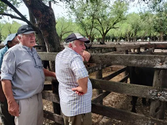 tn_IMG_20250116_154046232_HDR