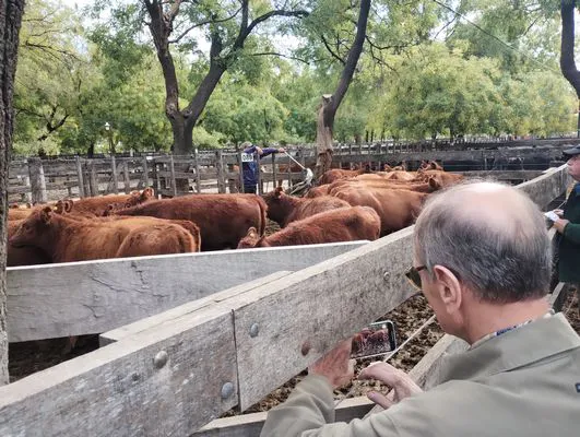 tn_IMG_20250404_154955476