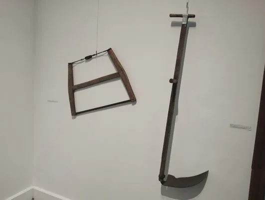 tn_IMG_20241015_185712363