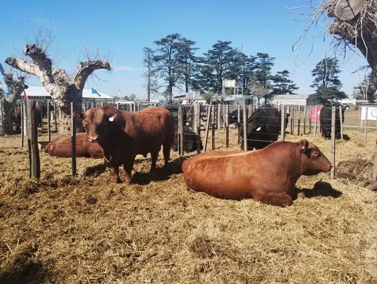 tn_IMG_20240912_111645230