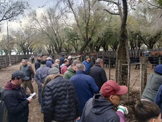 tn_IMG_20250602_160526279_HDR