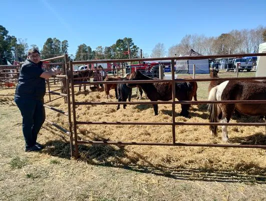 tn_IMG_20240908_121343537_HDR