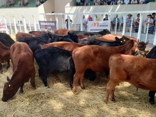 tn_IMG_20240221_134921957_HDR