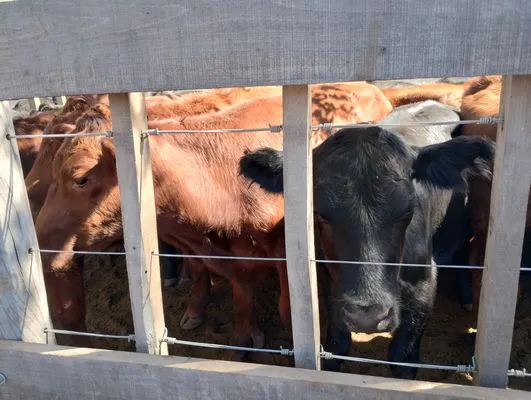 tn_IMG_20240406_133825788_HDR