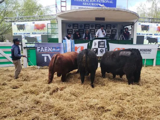 tn_IMG_20240907_152638174