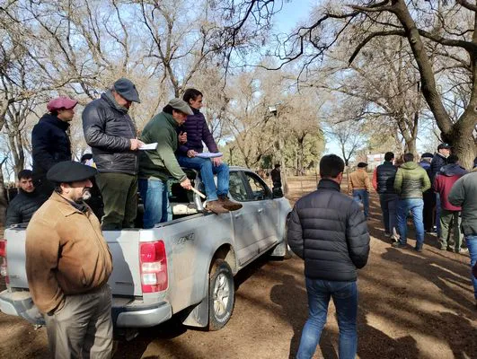 tn_IMG_20240717_114159026_HDR